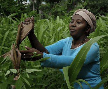 invest in the place that everyone wnats to visit