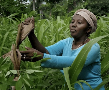 invest in the place that everyone wnats to visit